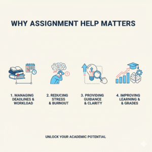 The Importance of Assignment Help in Student Life